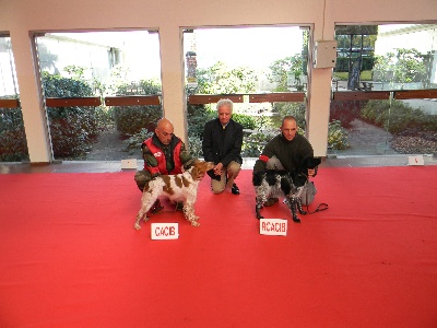 de la tour de broue - Exposition POITIERS 2011