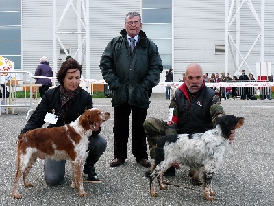 de la tour de broue - Exposition internationale AGEN, le 15/04/2012